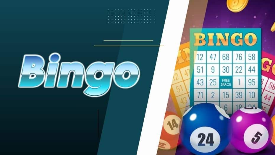 Bingo